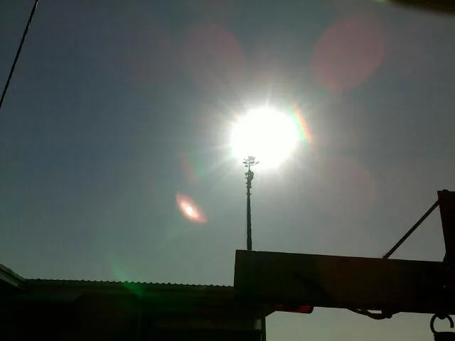 Large Tree Takedown - Photo 9