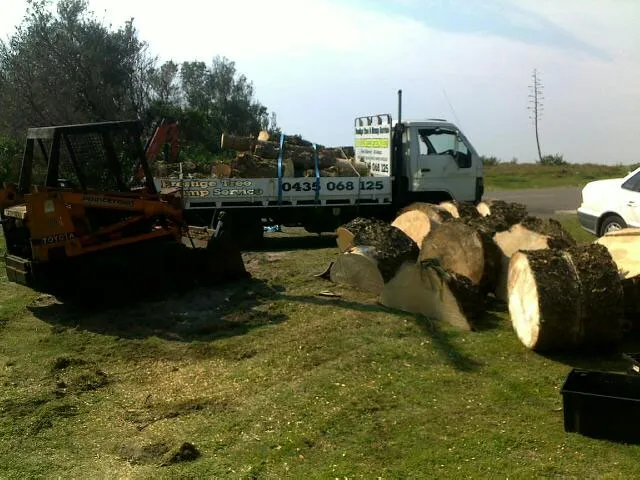 Large Tree Takedown - Photo 19