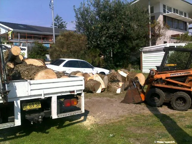 Large Tree Takedown - Photo 21