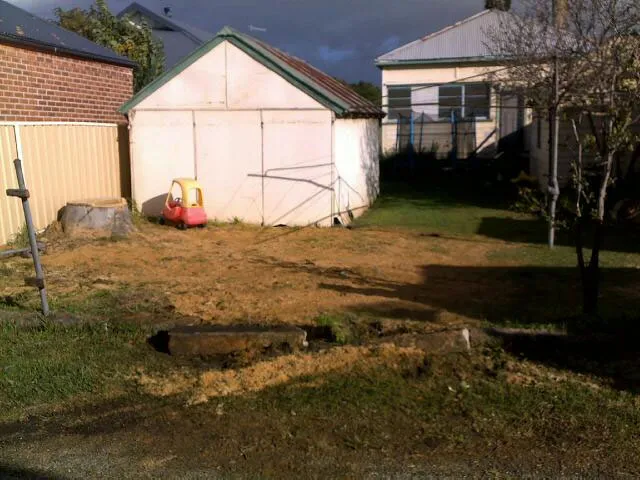 Lemon Scented Gum Removal - Photo 14