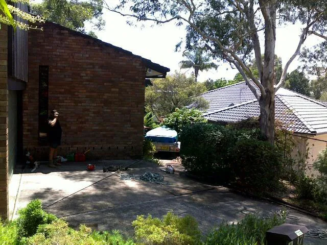 Small Gum Tree Removal - Photo 3