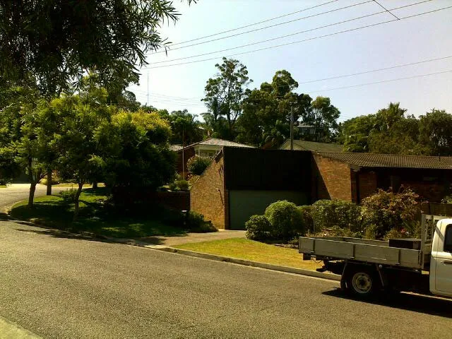 Small Gum Tree Removal - Photo 7