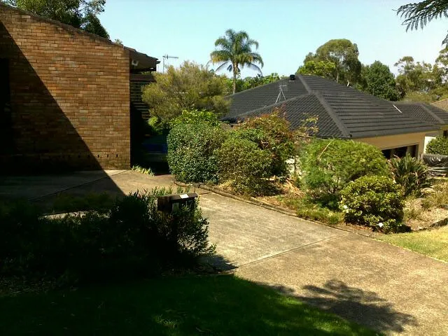 Small Gum Tree Removal - Photo 8