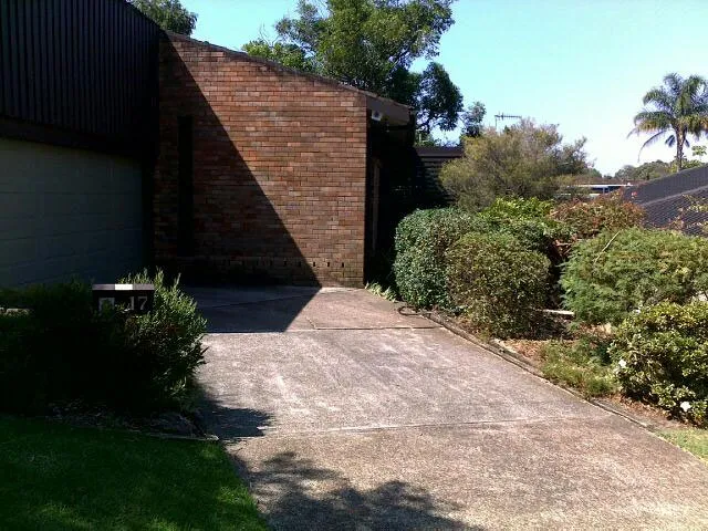 Small Gum Tree Removal - Photo 9